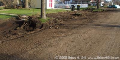 Digging around trees on Ash Street, Sauk Centre, Minnesota.