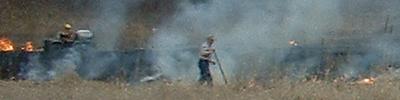 Fire fighters at grass fire