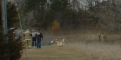 Fire crew, civilian, and enthusiastic dog