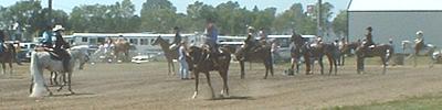 Arabian Horse Show, Sauk Centre.