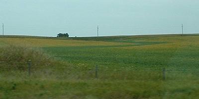 Parched fields and a greenatercourse