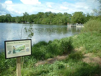 Sauk Lake's Shoreline Habitat Restoration Project at Sinclair Lewis Park.
