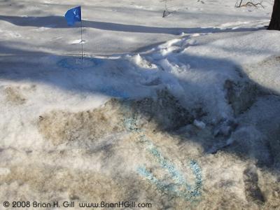 Markings on Snow, Sauk Centre, Minnesota