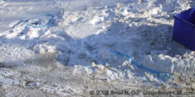 More markings on snow, Sauk Centre, Minnesota