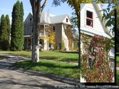 Effects of the fire on Pine Street, Sauk Centre, Minnesota