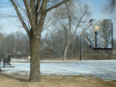 Lit lamp in lakeside park challenges sun in Sauk Centre