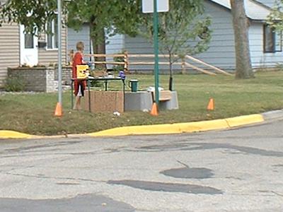 Baseball card and lemonade stand in Sauk Centre