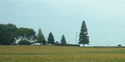 Minnesota crops don't look good this year