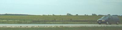 First drought, then rain before harvest time