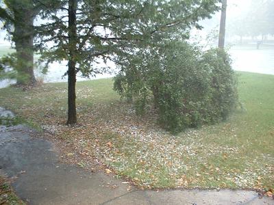 Little drifts of hail