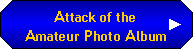 Attack of the Amateur Photo Album