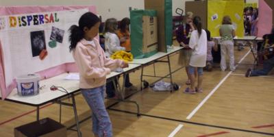 Sauk Centre Elementary science fair: seed dispersal