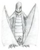 experiment in crosshatching