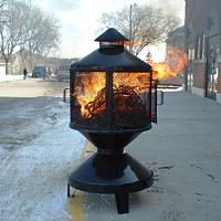 Palms from last year becoming this year's ash