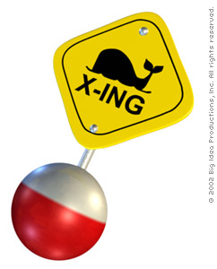Whale Crossing
